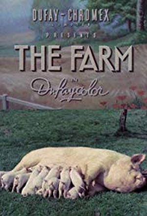 The Farm