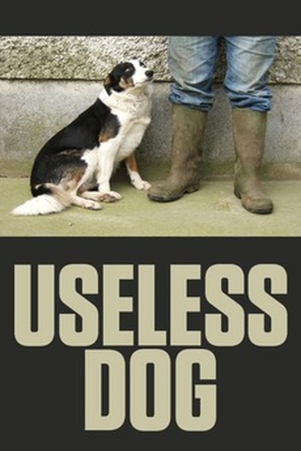 Useless Dog