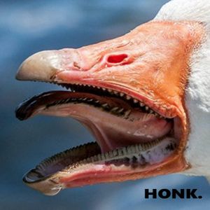 honk. EP (EP)