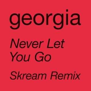Never Let You Go (Skream remix)