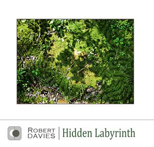 Hidden Labyrinth