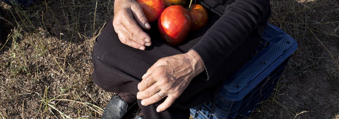 Cover Quand les tomates rencontrent Wagner