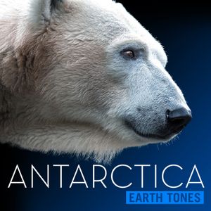 Antarctic Circles