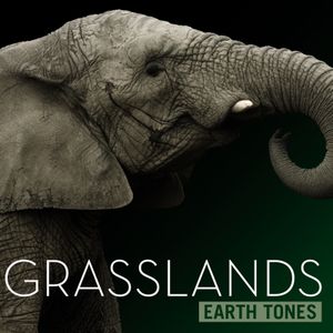 Grasslands