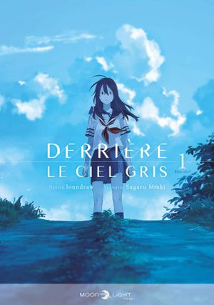 Derrière le ciel gris