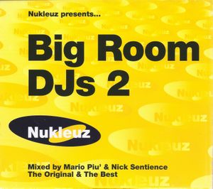 Big Room DJs 2