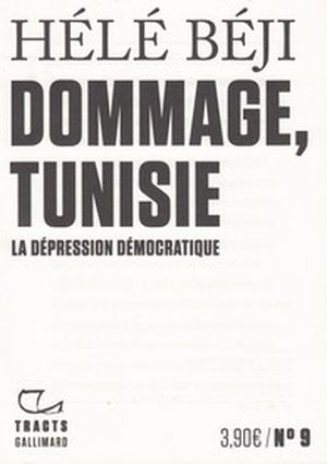 Dommage, Tunisie