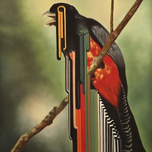 Bird Rib (EP)