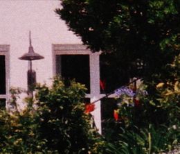 image-https://media.senscritique.com/media/000019209122/0/au_fond_du_jardin.jpg