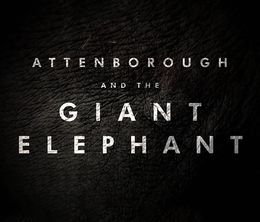 image-https://media.senscritique.com/media/000019210931/0/Attenborough_and_the_Giant_Elephant.jpg