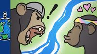 How This River Made Chimps Violent