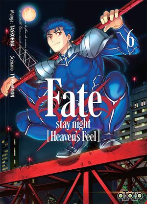 Fate/stay Night: Heaven's Feel, tome 6