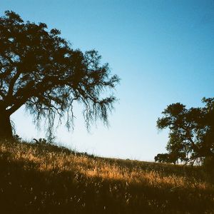 fear (Single)