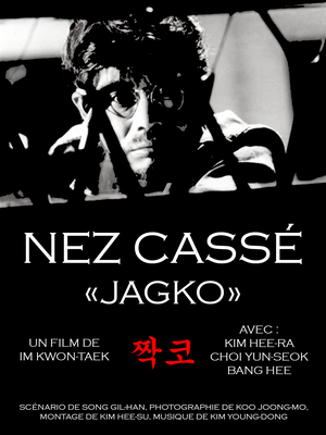 Nez cassé