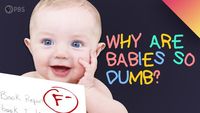 Humans Are Smart. Why Are Babies So Unsmart?