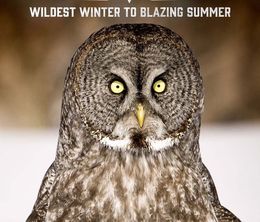 image-https://media.senscritique.com/media/000019226017/0/Yellowstone_Wildest_Winter_to_Blazing_Summer.jpg