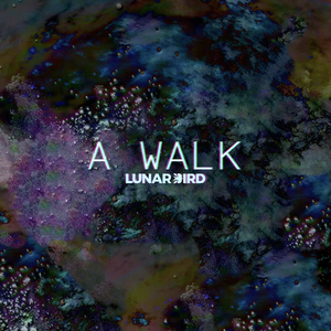 A Walk (Single)