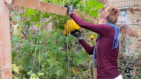 Les Grands Voisins, la cité rêvée