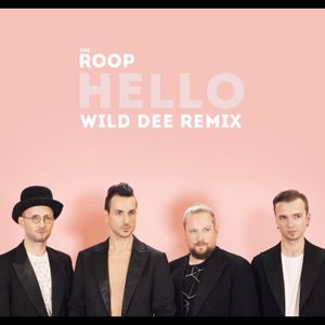 Hello (Wild Dee remix)