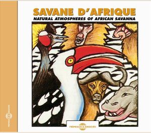 Savane d’Afrique : Nature de la brousse