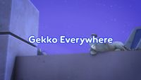 Gekko Everywhere