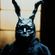 Avatar GrievousLord Avatar GrievousLord