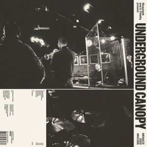 Bluestaeb & S. Fidelity Present Underground Canopy (EP)