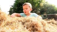 BABY TRAPPED IN A HAYSTACK!!