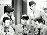 Bilko's Allergy