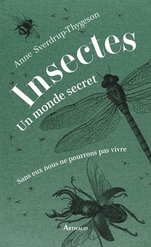 Insectes - Un monde secret