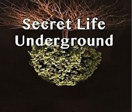image-https://media.senscritique.com/media/000019250299/0/secret_life_underground.jpg