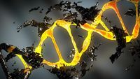 This is How DNA Evidence Goes Wrong