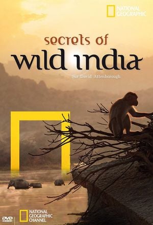 Secrets of Wild India