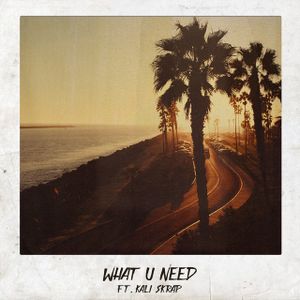 What U Need (Single)