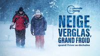 Neige, verglas, grand froid : quand l'hiver se déchaîne !