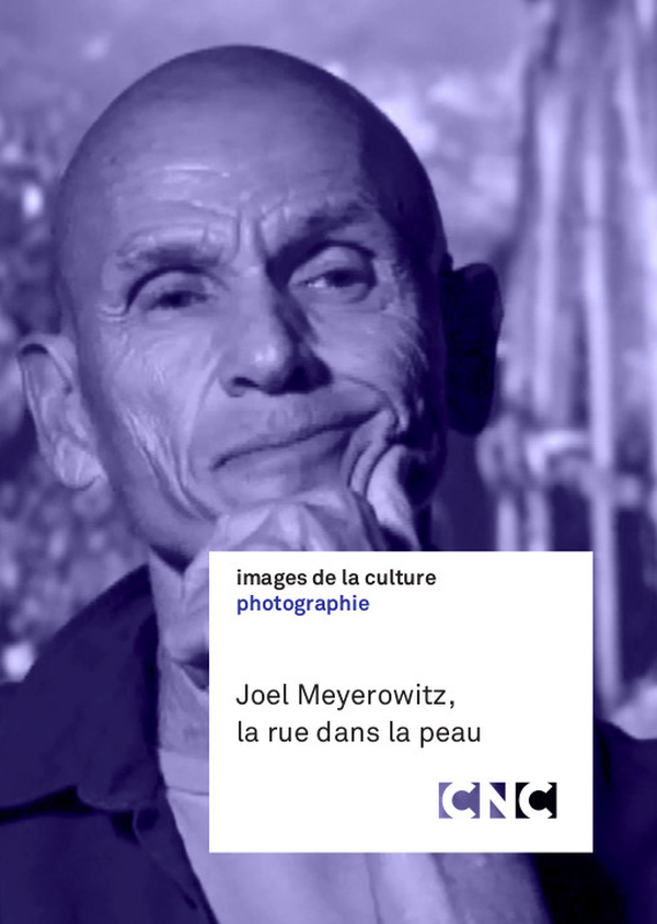 Joel Meyerowitz: La Rue dans la Peau