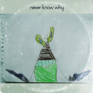 Never Know Why (Single)