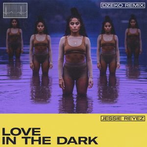 LOVE IN THE DARK (Dzeko Remix)