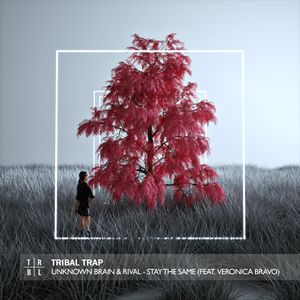 Stay the Same (Single)