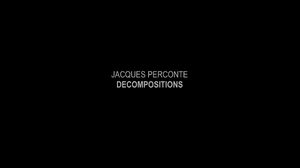 Jacques Perconte - Decompositions