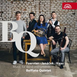 Wind Quintet D Major, Op. 95: I. Allegro moderato