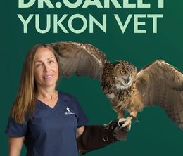 image-https://media.senscritique.com/media/000019265349/0/dr_oakley_yukon_vet.jpg