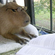 Avatar JoggingCapybara Avatar JoggingCapybara