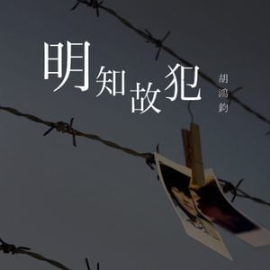 明知故犯 (Single)