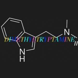 Dimethyltryptamine ＩＩ