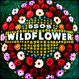 Wildflower (Single)