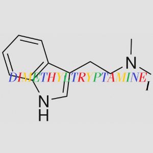 Dimethyltryptamine Ｉ