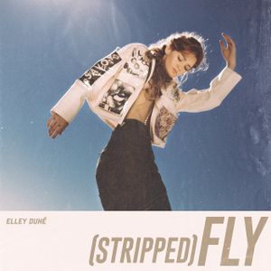 Fly (stripped)