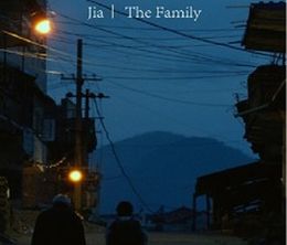 image-https://media.senscritique.com/media/000019270396/0/the_family.jpg