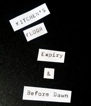 Expiry & Before Dawn (Single)